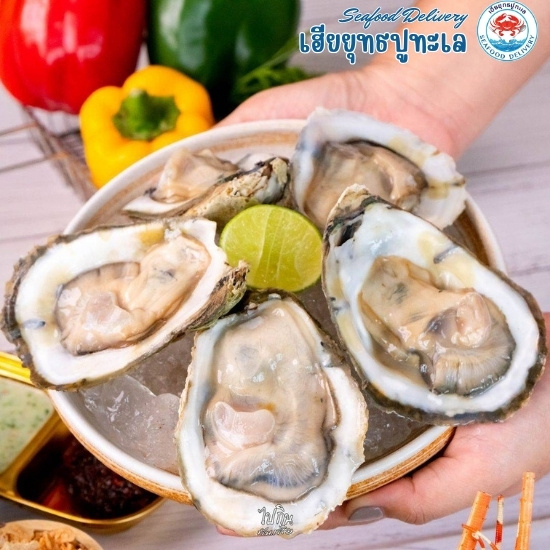 ซีฟู้ด โชคชัย4